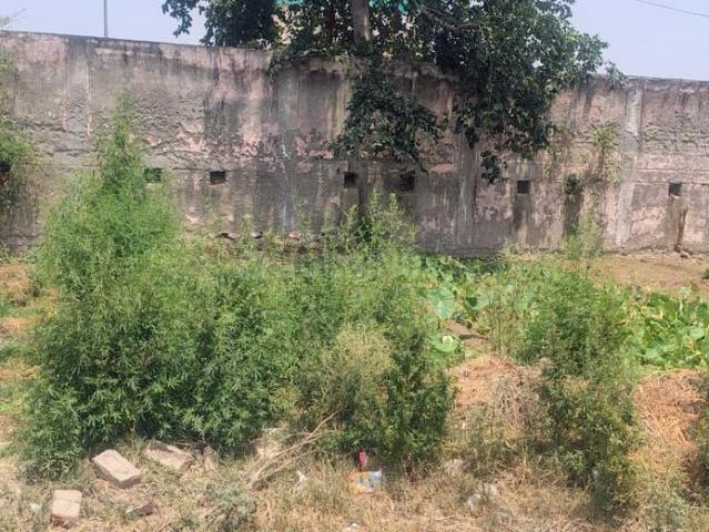 Residential Plot in Dadasiya for resale Faridabad. The reference number is 20444033