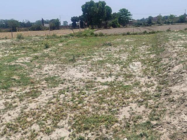 Residential Plot in Dadasiya for resale Faridabad. The reference number is 20443612