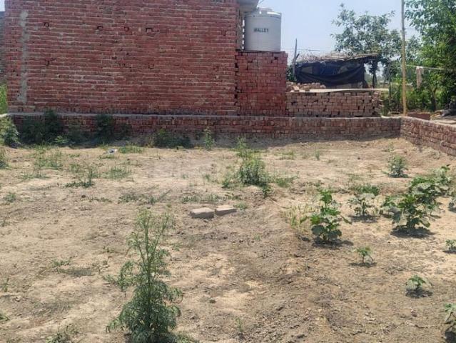 Residential Plot in Dadasiya for resale Faridabad. The reference number is 20993778