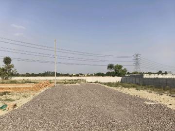 Residential Plot in Dadri for resale Greater Noida. The reference number is 20536154