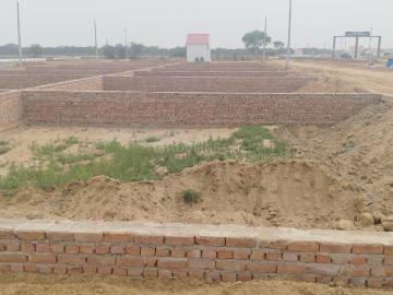 Jhajjar District, Haryana State