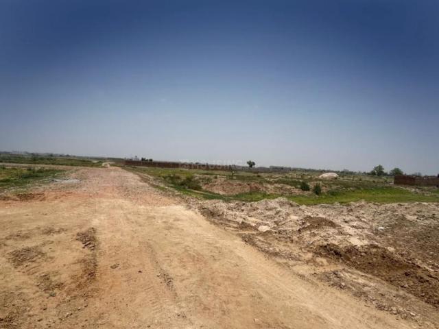 Residential Plot in Dadri Toye for resale Jhajjar. The reference number is 20899872