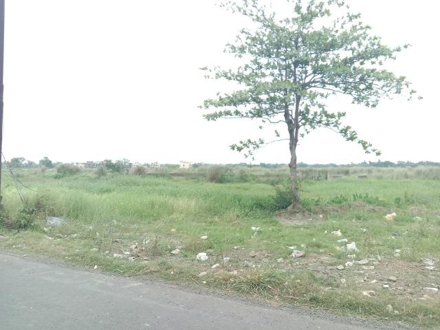 Residential Plot in Dakhin Chatta Kalikapukur for resale Kolkata. The reference number is 20088502