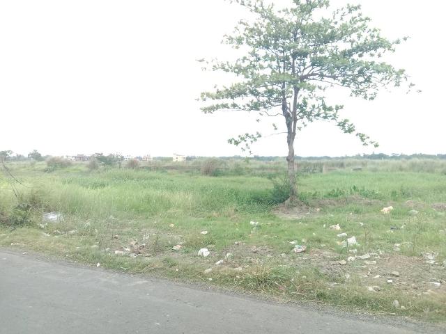 Residential Plot in Dakhin Chatta Kalikapukur for resale Kolkata. The reference number is 20088567