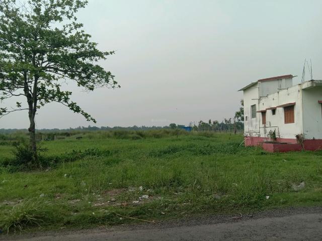 Residential Plot in Dakhin Chatta Kalikapukur for resale Kolkata. The reference number is 20189687