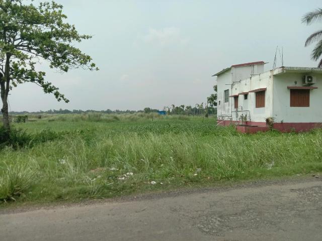 Residential Plot in Dakhin Chatta Kalikapukur for resale Kolkata. The reference number is 20289948