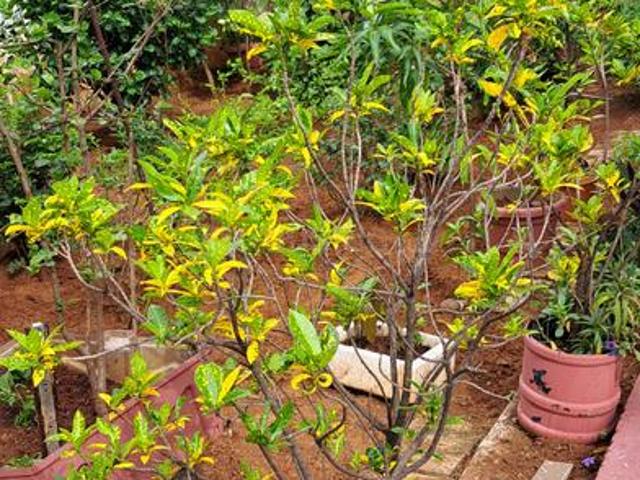 Residential Plot in Dammaiguda for resale Secunderabad. The reference number is 21022474