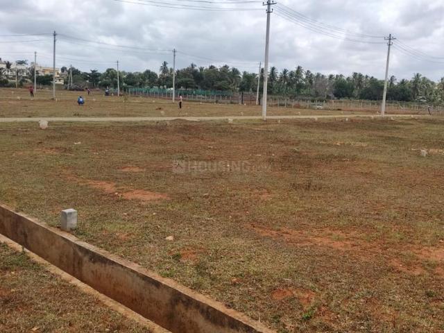 Residential Plot in Danagalli for resale Mysore. The reference number is 20947991