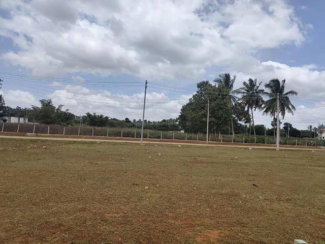 Residential Plot in Danagalli for resale Mysore. The reference number is 21033223