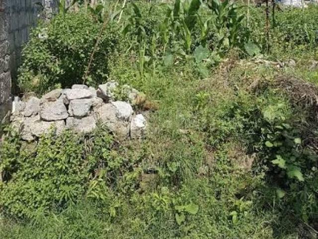 Residential Plot in Danapur for resale Patna. The reference number is 20808477