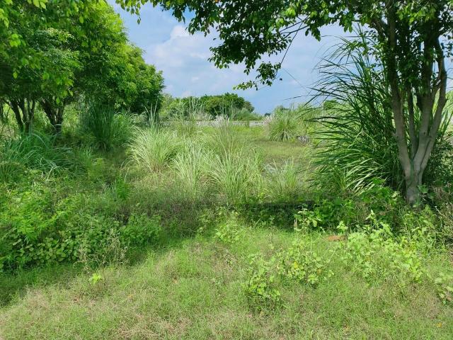 Residential Plot in Dasna for resale Ghaziabad. The reference number is 7324453