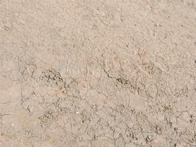 Residential Plot in Darekhu for resale Varanasi. The reference number is 20783738