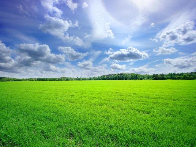 Residential Plot in Datoda for resale Indore. The reference number is 18066430