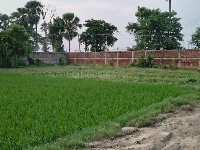 Residential Plot in Deedarganj for resale Patna. The reference number is 20969878