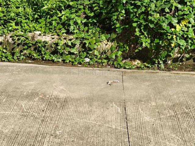 Residential Plot in Dehrakhas for resale Dehradun. The reference number is 20950679
