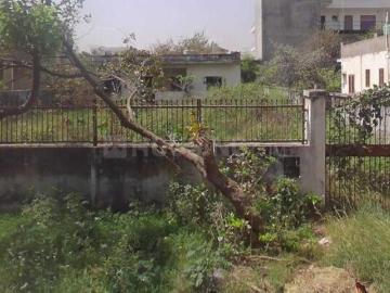 Greater Noida, Gautam Buddha Nagar District, Delhi