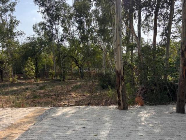 Residential Plot in Dera Mandi for resale New Delhi. The reference number is 20557944