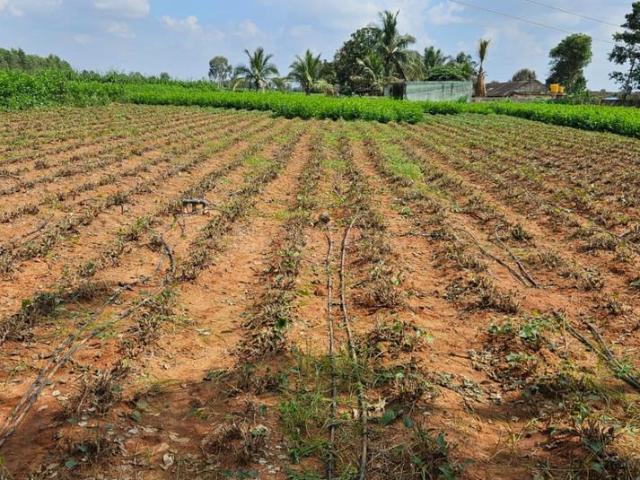 Residential Plot in Devanahalli for resale Bengaluru. The reference number is 16090902