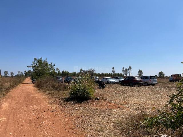 Residential Plot in Devanahalli for resale Bengaluru. The reference number is 19480520