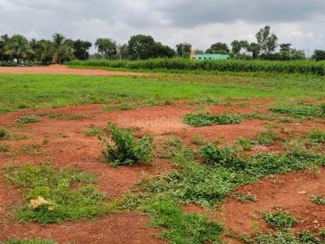 Residential Plot in Devanahalli for resale Bengaluru. The reference number is 19957894