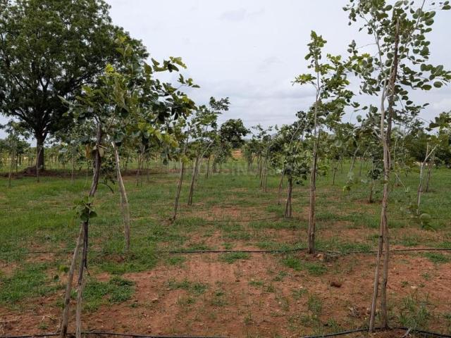 Residential Plot in Devannahalli for resale Chikballapur District. The reference number is 20710460