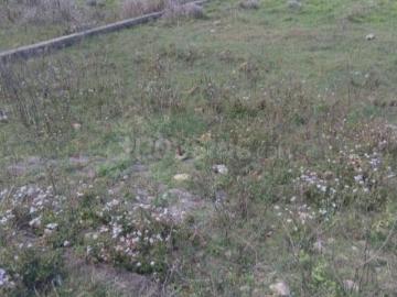 Residential Plot in Dharmawala for resale Dehradun. The reference number is 20381374