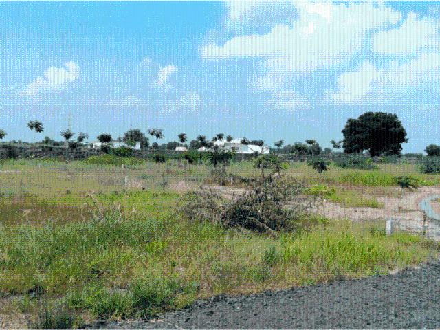 Residential Plot in Dhingda for resale Ahmedabad. The reference number is 19754547