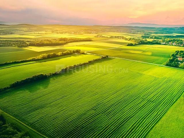 Residential Plot in Dholera for resale Ahmedabad. The reference number is 19867711