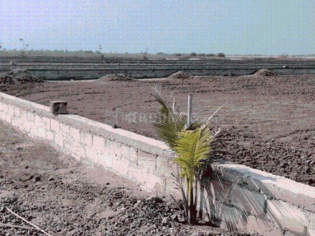 Residential Plot in Dholera for resale Ahmedabad. The reference number is 20453236
