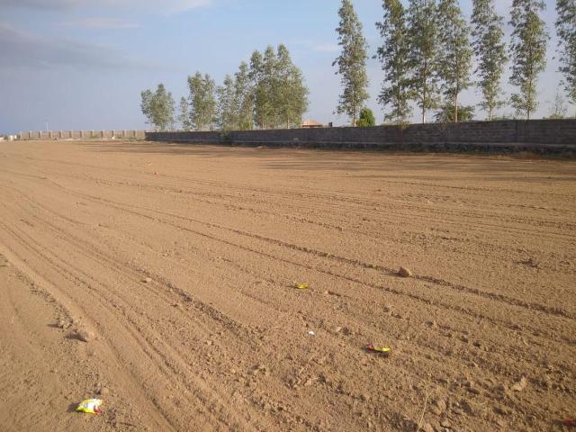 Residential Plot in Dholera for resale Ahmedabad. The reference number is 9394343