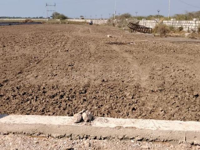 Residential Plot in Dholera for resale Ahmedabad. The reference number is 19273859