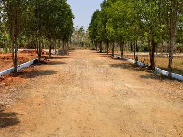 Residential Plot in Diwancheruvu for resale Rajahmundry. The reference number is 20235173