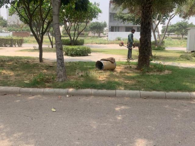 Residential Plot in DLF Phase 2 for resale Gurgaon. The reference number is 12742773