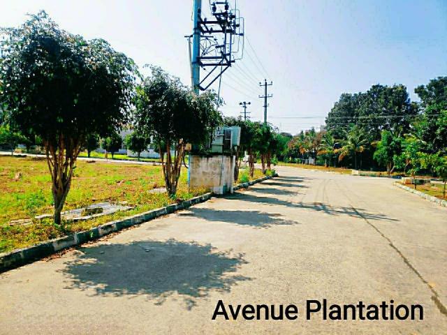 Residential Plot in Doddakannelli for resale Bengaluru. The reference number is 20287355