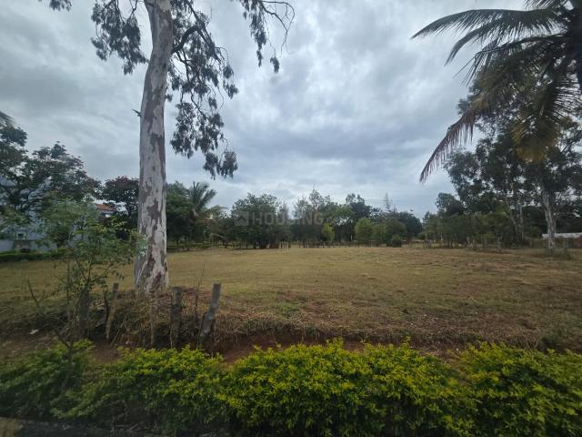 Residential Plot in Doddajala for resale Bengaluru. The reference number is 21171361