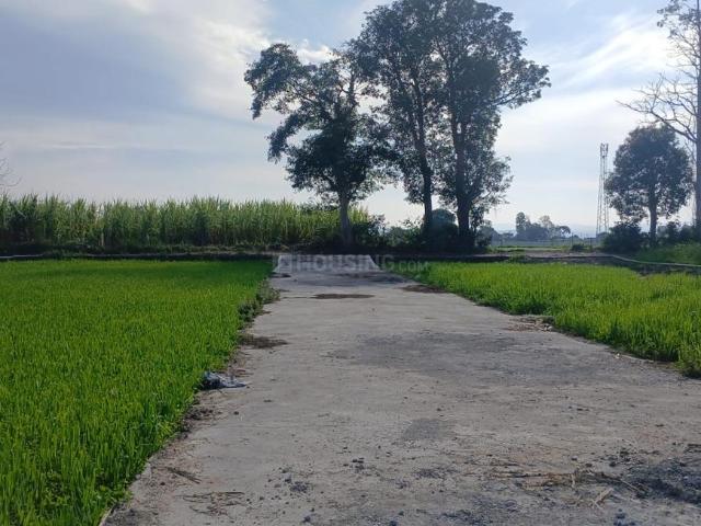 Residential Plot in Doiwala for resale Dehradun. The reference number is 19970154