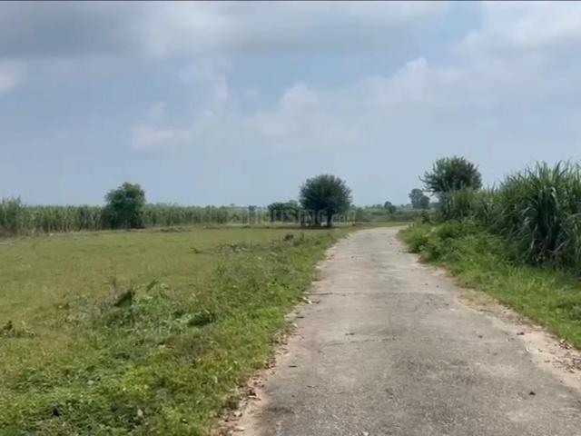 Residential Plot in Doiwala for resale Dehradun. The reference number is 20837156
