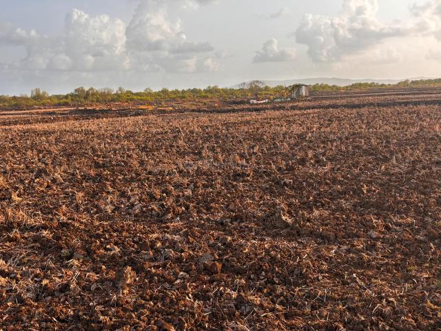 Residential Plot in Dronagiri for resale Navi Mumbai. The reference number is 20696321