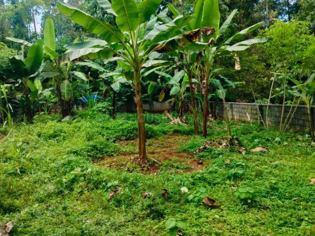 Residential Plot in Edappally for resale Kochi. The reference number is 18682701
