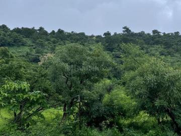 Residential Plot in Erandwane for resale Pune. The reference number is 20529340