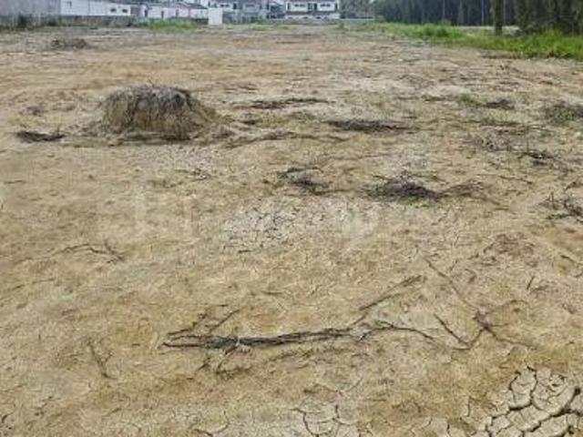 Residential Plot in Erandwane for resale Pune. The reference number is 20613039