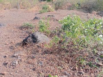 Fatorda, Margao, North Goa District, Goa State