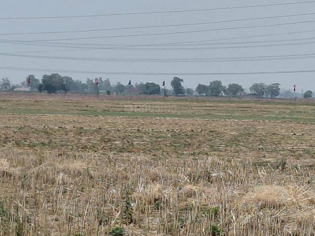 Residential Plot in Fatehgarh Sahib Town for resale Fatehgarh Sahib. The reference number is 20830925