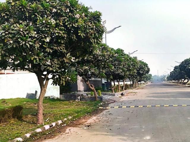 Residential Plot in Focal Point for resale Dera Bassi. The reference number is 16172918