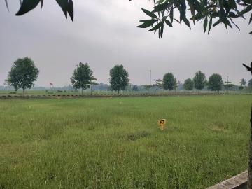 Ponmar, Kancheepuram District, Tamil Nadu