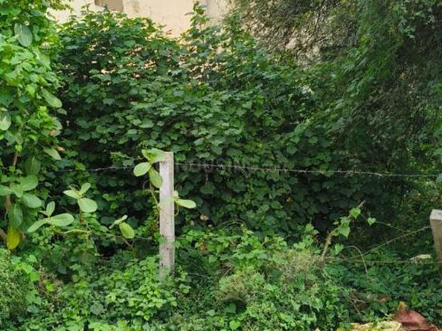 Residential Plot in Gulmohar Colony for resale Bhopal. The reference number is 20978066