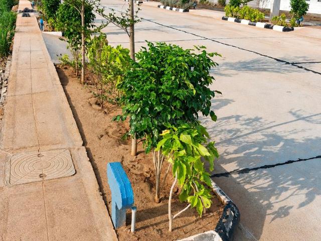 Residential Plot in Gunadala for resale Vijayawada. The reference number is 20670788