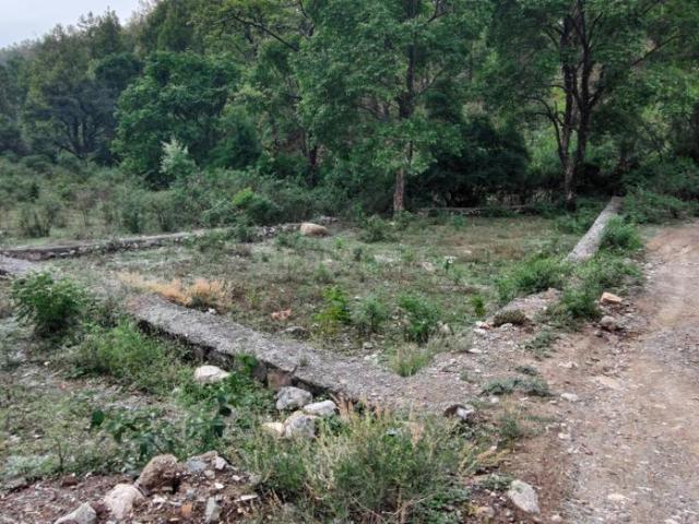 Residential Plot in Galajwari for resale Dehradun. The reference number is 20169887