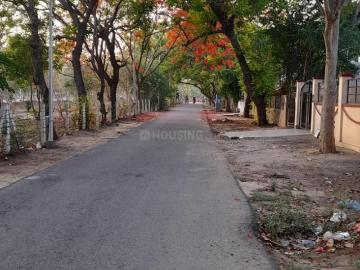 Gamma 1, Greater Noida, Gautam Buddha Nagar District, Delhi