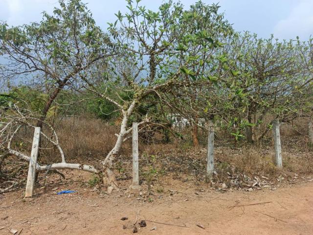 Residential Plot in Gandigundam for resale Visakhapatnam. The reference number is 19903376